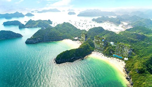 Đầu Tư Flamingo Cát Bà - Đầu Tư Thông Minh