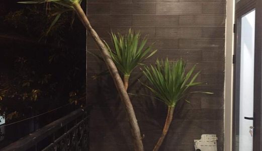 Bán Nhà Mặt Tiền Đường Trần Tấn Mới, Gần Bệnh Viện Vinmec Đà Nẵng