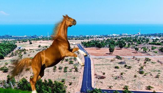 Bán Đất Trồng Cây Ở Thiện Trung Xa Thiện Nghiệp, Tp. Phan Thiết Với  Giá 950/m2