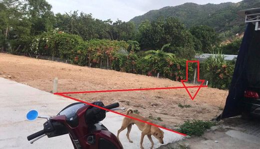 Đất Phân Lô Đẹp Phước Đồng, Nha Trang