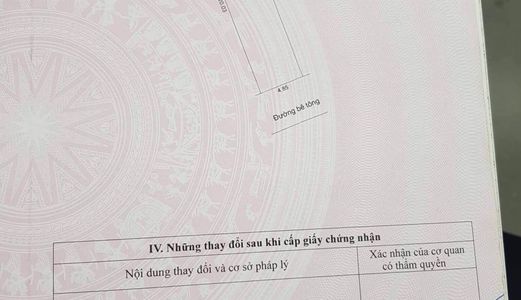 Bán Lô Đất Kiệt 384 Tôn Đản Kiệt Ototo Vị Trí Quá Đệp Gần Chợ Cách Đường Chính 20M 