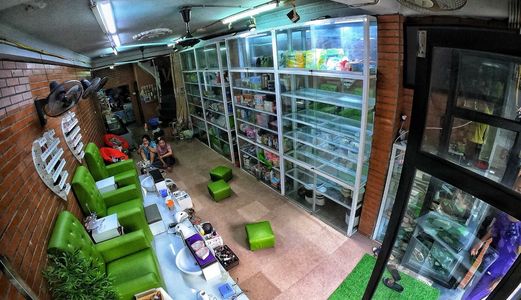 Bán Nhà Kinh Doanh Đỉnh Phố Khương Trung , 45M2 , 3 Tầng , Giá 5.4 Tỷ.