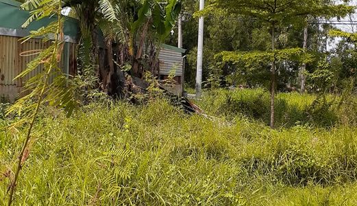 Bán Đất Chợ Bà Hom Sổ Hồng Riêng Giá Chỉ 1 Tỷ 6