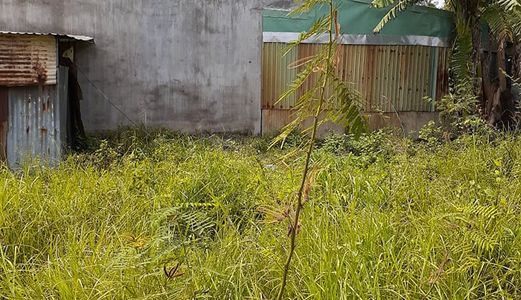 Bán Đất Chợ Bà Hom Sổ Hồng Riêng Giá Chỉ 1 Tỷ 6