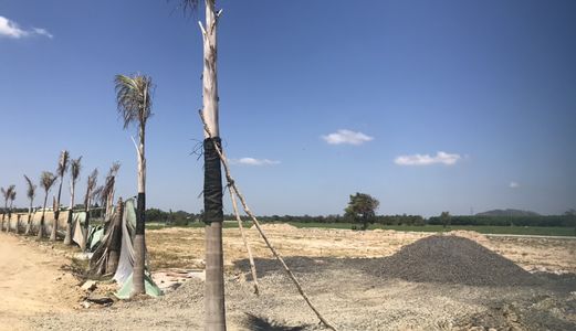 Bán Nhanh Lô Đất Dự Án Baricity Thành Phố Bà Rịa