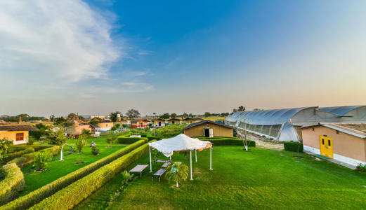 Bán Đất Trồng Cây Trang Trại, Brvt.dt 1000M.giá 1,9Tr/m.tặng Trại Dưa.