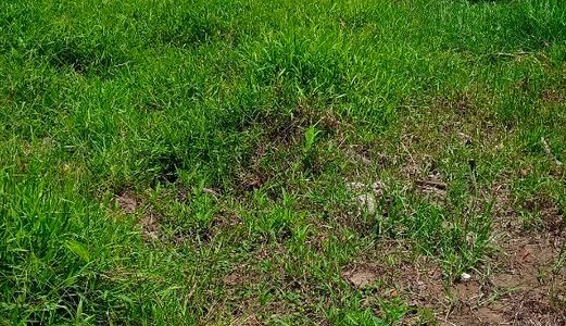 Chính Chủ Bán Đất Thổ Cư Nguyễn Minh Trường Phường 3 Tân An Long An 110M2