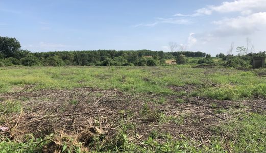 Cơn Sốt Đầu Tư Đất Sân Bay Qt Long Thành