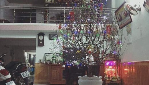 Bán Nhà Cấp 4 Gác Đúc, 109 Phạm Như Xương Kiệt Ottoo Vô Tận Nơi Cách Đường Chính 50m