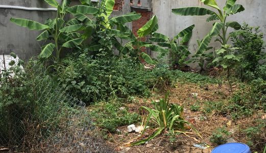 Bán Lô Đất Kiệt 221 Tôn Đản Cách Đường Chính 50M Kiệt 2M5 Gần Đường 