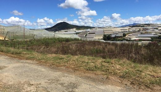 Bán Đất Nam Hồ , Phường 11 , Thành phố Đà Lạt