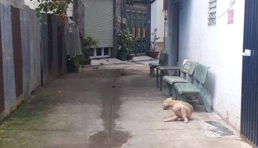 Bán Nhà Riêng Phường 11, Quận Tân Bình, TPHCM. Diện tích 92m2 Giá Chỉ 7.7 Tỷ