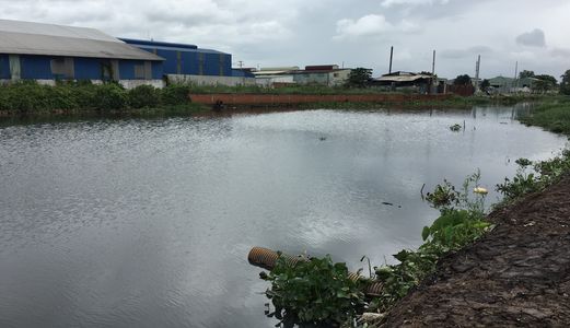 Chưa Xem 2 Lô Đất Này Thì Khoan Mua Đất Khu Vực Bình Chánh, Đất Thổ Cư 100%, Shr Giá Tốt Trần Văn Giàu