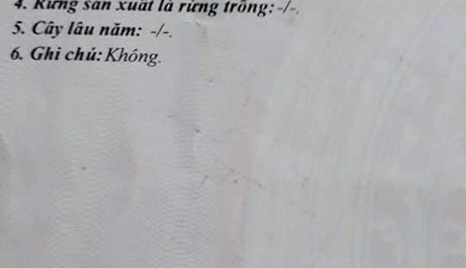 Bán Lô Đất 322 Trường Chinh Cách Đường Chính 30M Kiệt 2M Vi Trí Quá Đẹpp