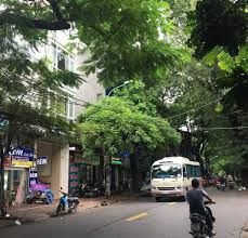 Nhà Cấp 4 Có Gác Xép 37M2, Ô Tô Đỗ Cửa Khụ Vực Đường Tây Mỗ, Nam Từ Liêm. Lh 0966602074