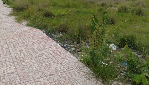 Nhượng Lại 5 Lô Đất Đối Diện Quảng Trường Nhac Nước. Diện tích 5x20m Sổ Hồng Riêng. Đường Vành Đai 4