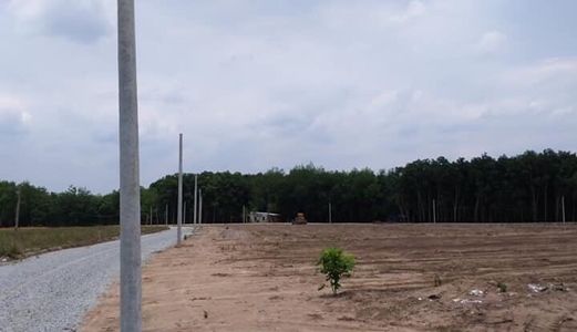 Chính Chủ Cần Bán Đất Vườn Diện Tích 30M*35M Giá Rẽ