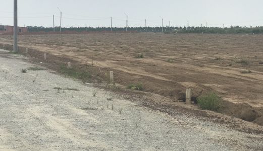 Chính Chủ Cần Bán Đất Vườn Diện Tích 30M*35M Giá Rẽ