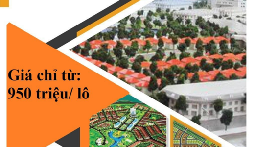 Đất Nền Khu Dân Cư Sơn Tịnh Mở Bán Vài Lô Cuối Giá Từ 1 Tỷ - Đừng Bỏ Lỡ!!!
