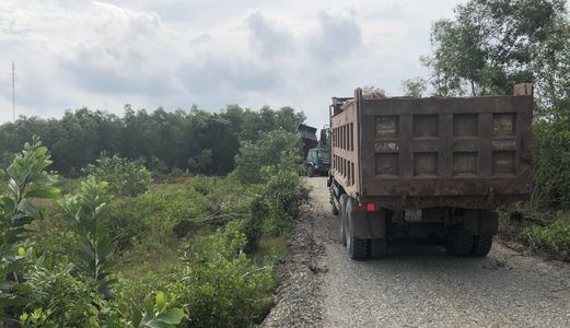 Còn Vài Lô Tại Bình Châu Đã Ra Sổ Diện Tích 1000m2