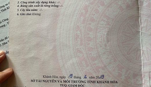 Chủ Đất Cần Tiền Trả Ngân Hàng, Bán Nhanh Lô Đất Cách Lương Định Của Chỉ 200M, Giá Chỉ 1,1 Tỷ !!!