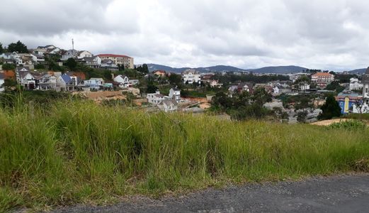 Bán Đất Đường Phù Đổng Thiên Vương, Phường 8, Đà Lạt 652Mv Mã 19049 