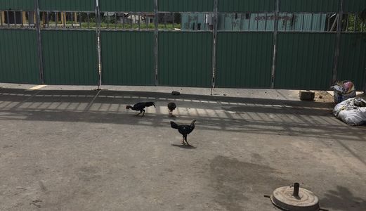 Đất Nền Hot Nhất Quận 9 Dự Án Happy Riverside 3. Liền Kề Vincity 500M Nguyễn Xiển - Lò Lu, Lh 035 560 8880 