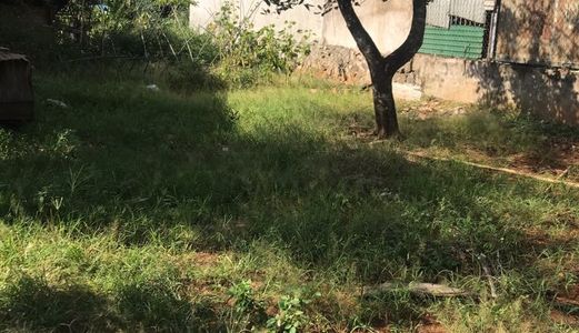 Đất Thổ Cư Diện tích Gần 300M2 Đẹp Không Tì Vết Giá Thấp Hơn Thị Trường. Hãy Đầu Tư Sinh Lời.