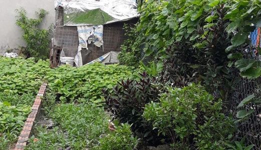 Bán Đất Vân Nội Mảnh 46.9M2 Giá Hơn 1 Tỷ Cách 50M Ra Đường Quốc Lộ 23B Khách Nào Quan Tâm Alo Cho Em