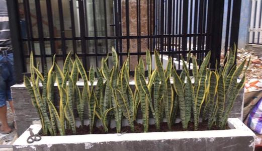 Bán Nhà 2 Tầng Kiêt Ototo Nhỏ Ngô Chân Lưu, Vị Trí Quá Đẹp Nhà Đẹp Kiên Cố 