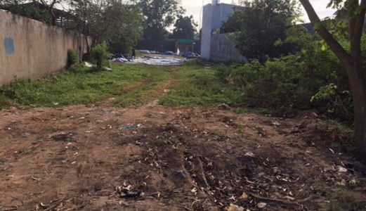 Bán Lô Đất Diện Tích 891M2! Mặt Tiền Trần Văn Trà Xã Phú Đông! Gía Cực Rẻ!