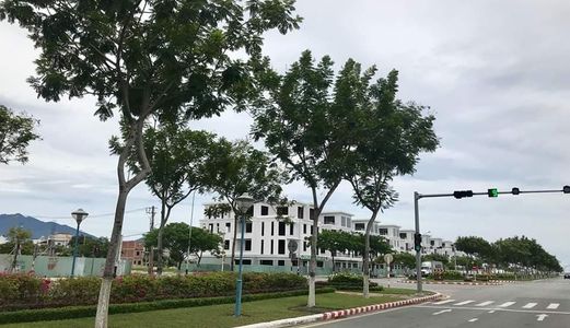 Melody Quỹ Đất Vàng Trung Tâm  Liên Chiểu Đà Nẵng