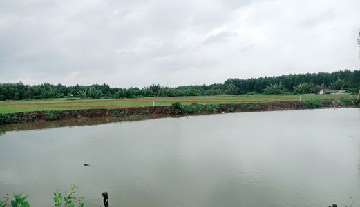 Bán Lô Đất Cạnh Sông Soài Rạp, các Đường Phạm Thái Bường 100M.