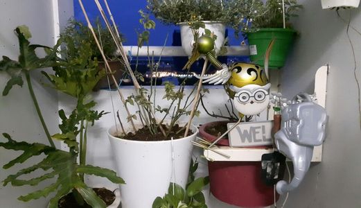 Bán Gấp Căn Hộ Lô C , Chung Cư Belleza , Q7, 45M2, Full Nội Thất , Giá Yêu Thương 