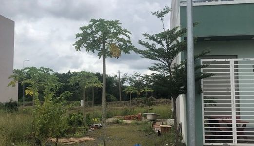 Bán Gấp Lô Đất Bình Chánh, diện tích 5 x 20 m2