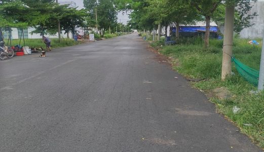 Bán Gấp Lô Đất Bình Chánh, diện tích 5 x 20 m2