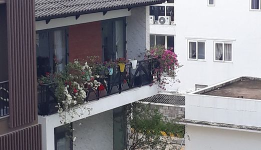Bán Gấp Lô Đất Mt Nguyễn Văn Hưởng, P. Thảo Điền, Quận 2, Dt: 10X25M, Gpxd 1 Hầm 7 Lầu,giá: 26 Tỷ Tl