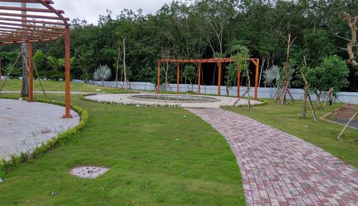 Đất Nền Thổ Cư 100% Giá Rẽ Tân Uyên Bình Dương