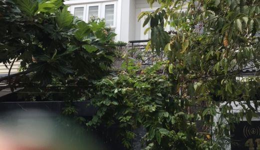 Nhà Tuyệt Đẹp Dành Cho Công Ty Thuê Làm Văn Phòng Hoặc Để Ở Khu Vực Quận 2, P. Thạnh Mỹ Lợi