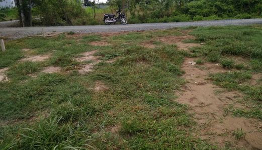 Đất Nền Củ Chi, 100% Thổ Cư ,sổ Hổng Từng Nền