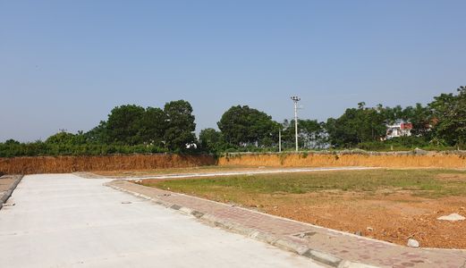 Nắng Xuân Mai Ửng Hồng Nàn Da Trẻ - Đất Thủy Tiên Vừa Rẻ Lại Vừa Ngon - 600Tr - Sổ Đỏ Thổ Cư