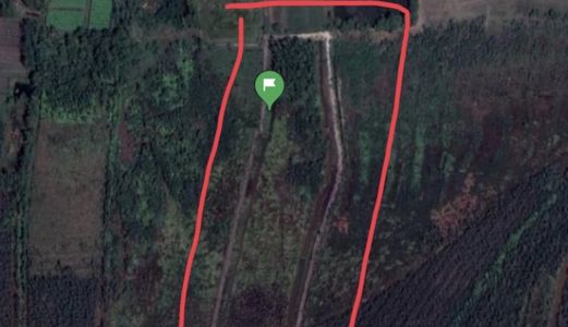 Bán Đất Đức Hòa, Long An Dt 15000M2 Gần Khu Cát Tường Phúc Sinh