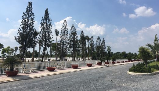 Cần Bán Đất Chợ Bình Chánh - Mặt Tiền Đường Hoàng Phan Thái, Có Shr