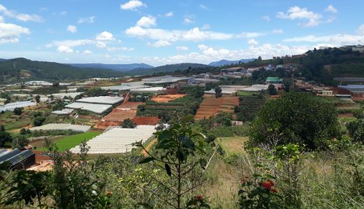 Bán Đất Thôn Đa Lộc, Xã Xuân Thọ, Đà Lạt 2527.8Mv Mã 19117