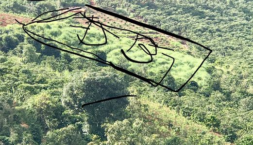 Cần Vốn Kinh Doanh: Bán Gấp 2Ha Đất Nông Nghiệp Cà Phê Tại Xã Mê Linh.lh:0852119818