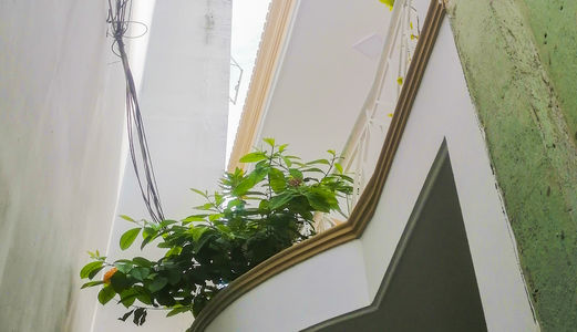 Bán Nhà Đường Quang Trung, Phường 10, Quận Gò Vấp