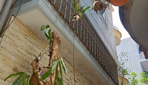 Bán Nhà Bùi Xương Trạch,  Quận Thanh Xuân, 55M2, Mặt Tiền 4M, Giá Chỉ 3.4 Tỷ, Lh: 0986383826