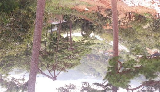 Cần Bán Đất 3 Tháng 4 - Diện tích 2547 m2 - Tp Đà Lạt