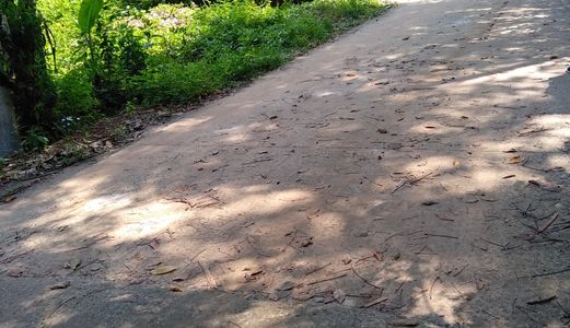 Bán Gấp Miếng Đất Vườn, diện tích 618m2. Giá 400 Triệu