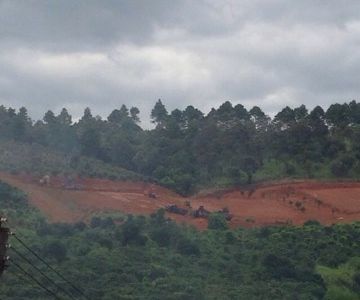 Tôi Cấn Bán Đất 4000 M2 Giá Rẻ - Lâm Hà